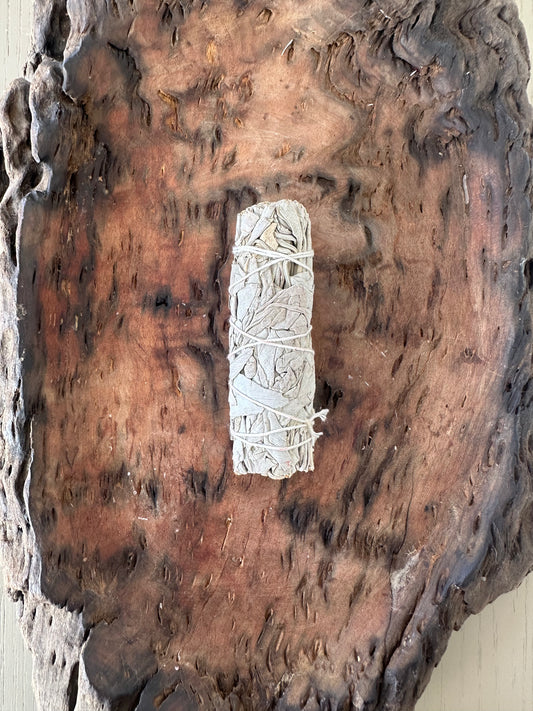 sage smudge stick -                               plain